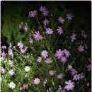 원용 경로당 이미지