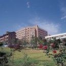 가톨릭대학교 성심교정 이미지