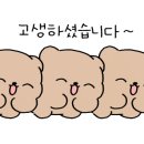 원(WON) 복싱짐 이미지