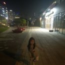 휴 애견미용 네이버블로그
