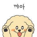 휴먼앤펫 이미지