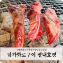 │평내동 고기 맛집│ 남양주 갈빗살 담가화로구이 평내호평점