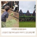 송아지농장 | [경기투어패스 김포②] 꿈목장｜스트링치즈 만들기·송아지 우유주기 체험 후기