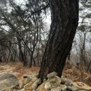 파리바게트금천석수 | [호암산] 초보자도 문제없는 가벼운 코스 추천 (위치/난이도)
