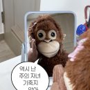 일본어 영어회화B | 포도 스피킹 영어 일본어, 일대일 영어 일본어 회화 8주차 후기