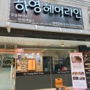영라인(YOUNG LINE) 이미지