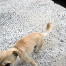 동천안모터스 이미지