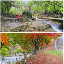 꽃피는부동산중개 | 【매물번호 5138】 종교 기도처, 휴양.요양지로 최적 : “소백산 웅혼한 지기가 머물러 최상의 기도처로...