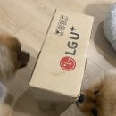 Happy PC | 내돈내산 U+tv 프리4 LE 태블릿 후기