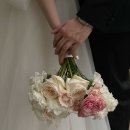 티아라헤어살롱 | 스드메 준비 대백과 1편 : 웨딩플래너, 스튜디오, 헤어변형 / 스드메 계약 전으로 돌아가면 이렇게 준비...