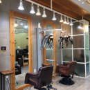 므찌개 애견미용 이미지