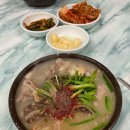 제주먹보