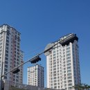 잔다리(세교) 이미지