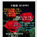 새로나전자 이미지