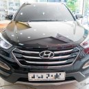 사파동289 이미지