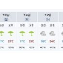 일선교통(주) | ☔ 주말도 비·월요일 출근길 또 ‘물폭탄’? — 출근길 대비 레인 서바이벌 안내