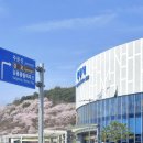 카뷰티하우스 | 4월 2박3일 여행 강릉 묵호 코스 추천 후기(감자유원지,안목해변,경포호,육영탕수육,오핑하우스,영진해변)