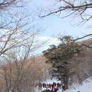 태백산 - 김포시 양곡3로1번길 26-5 | 태백산