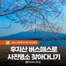 구(북안) | 후지산 가와구치코 버스 패스 1일권 후기 사진명소 총정리