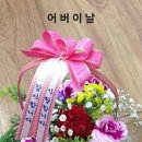 오늘도클로버