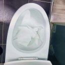 광암동 화장실 이미지