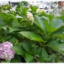 지남목장 이미지