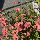 CU보성조성점 | [밀린일기] 10월의 시골모습_시골집 찾기