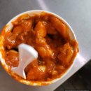 홍천 비발디파크 스키장 개장, 비발디렌통령 스키대여 후기