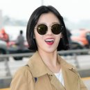 코코클릭 이미지