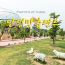 안성맞춤랜드공원16 이미지