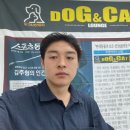 도그앤도그 이미지