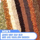 농업회사법인(주)한협원종 | &lt;금보다 비싼 국산 종자 만든다! 골든 시드(Golden Seed) 프로젝트&gt; 2편