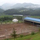 누이식당 이미지