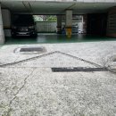 비바동물병원 이미지