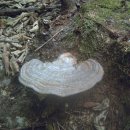 성주농장 이미지