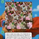 세이꽃집 | 광주 동천동 꽃집 세이플레르 – 24시 꽃집에서 아버지 환갑 꽃다발 준비한 후기
