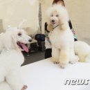 창업축산 이미지