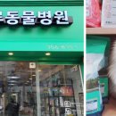 다루동물병원
