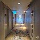 GS25 고양고봉점 | 소노캄 고양 패밀리-슈페리어/스탠다드/트윈 숙박후기