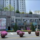 쌍령동-3 이미지