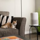 Beast Box GYM 이미지