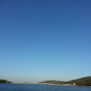 옹진해머금 이미지