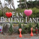 이안 힐링랜드 이미지