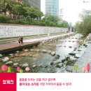 숲플라잉요가