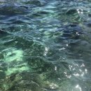 (주)라온아이디 이미지