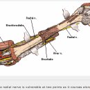 THE APPROACH 이미지