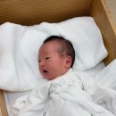 안산재활의학과의원 | 임신영 재활의학과의원 사경 진료/재활치료 후기(신생아부터 의심증상)