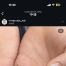 해버씻네일