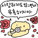 나능이능이버섯백숙춘천점 이미지