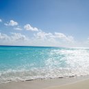 푸른컴퓨터 이미지